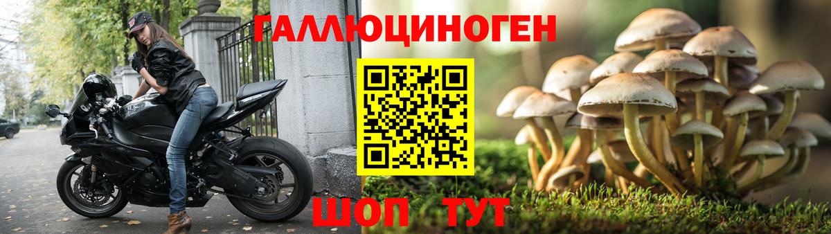 Псилоцибиновые грибы MAGIC MUSHROOMS Лосино-Петровский